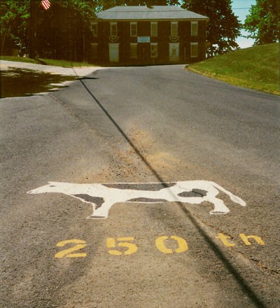 237-Painted-road-cow