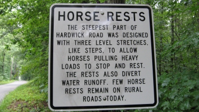 Horse-Rests-2