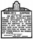 Wheeler's Surprise